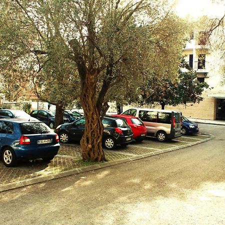 Hotel Sumadija Rafailovici Bečići Buitenkant foto